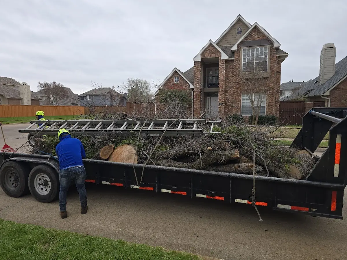 Expert Tree Fertilization with proper safety equipment in Picacho